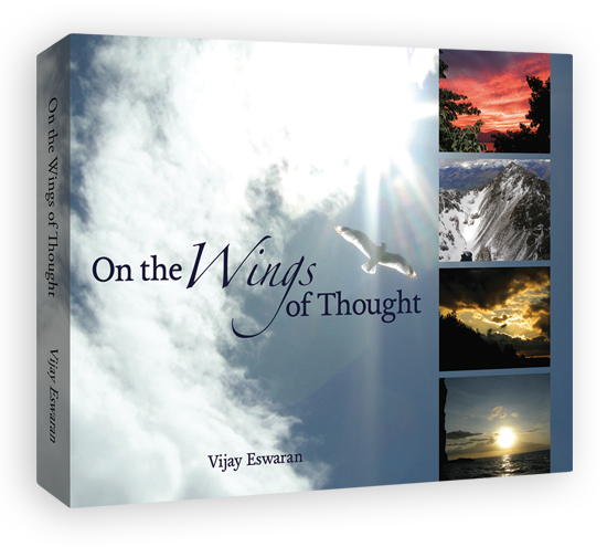 wings Vijay Eswaran books